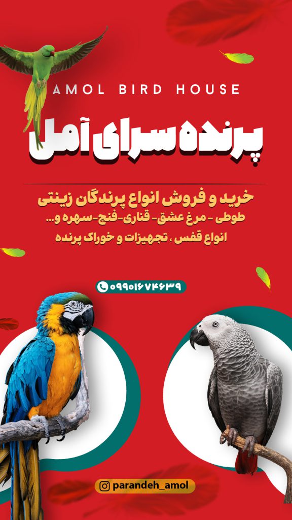 پرنده فروشی